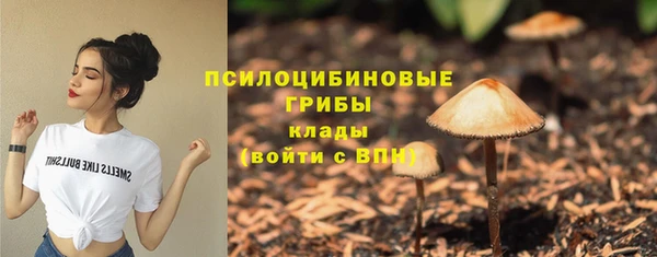 таблы Аркадак