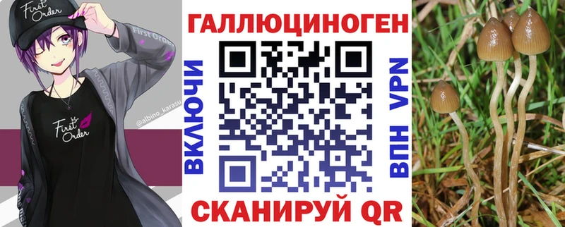 сколько стоит  Удомля  Псилоцибиновые грибы мицелий 